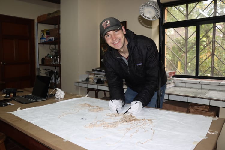 Desenredar, pero nunca desatar